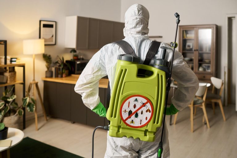se débarrasser efficacement des puces dans une maison